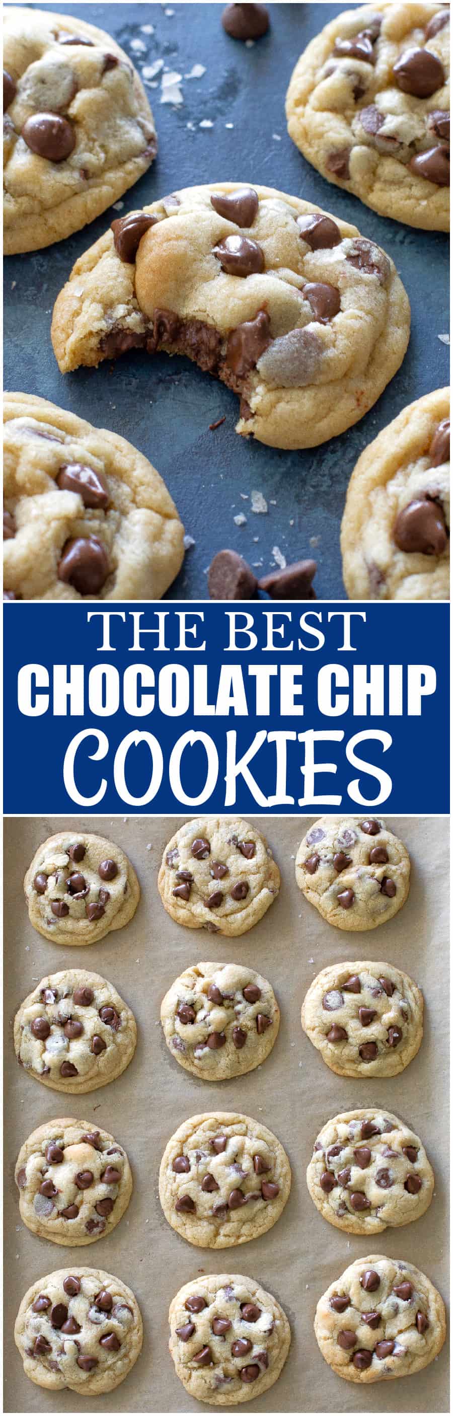 chocolate chip cookie