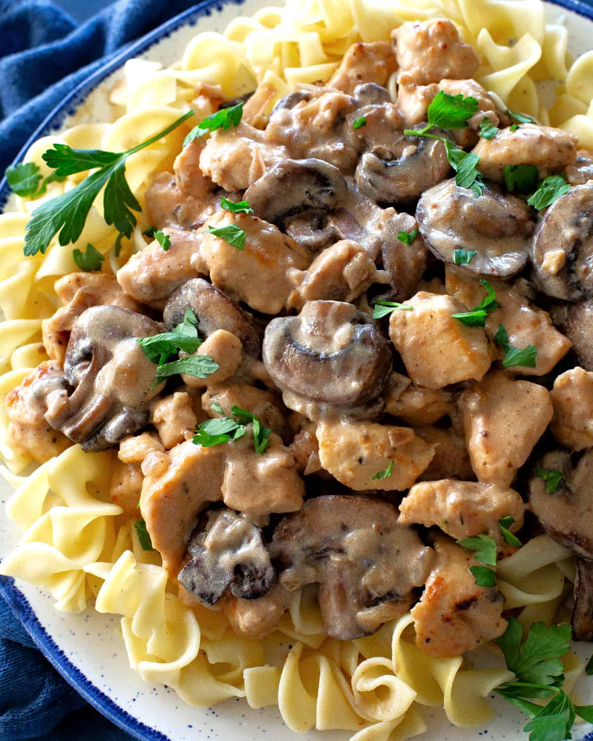 Chicken Stroganoff 