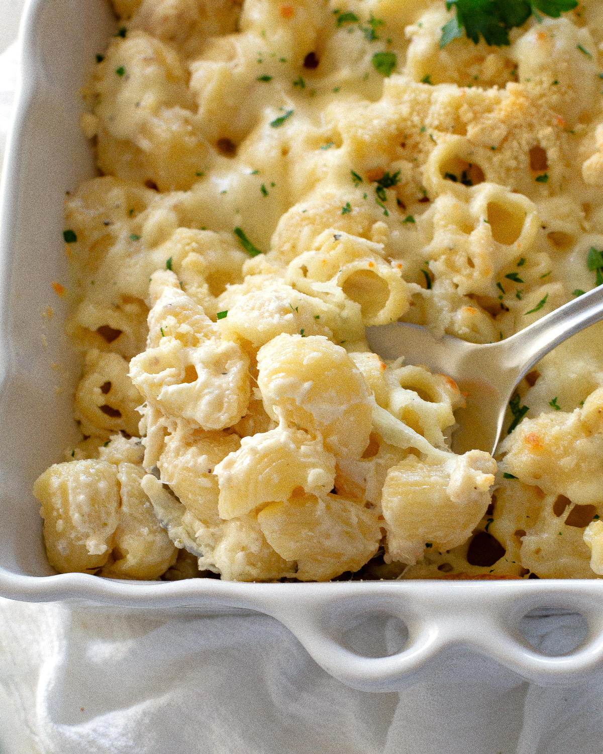 chicken alfredo bake