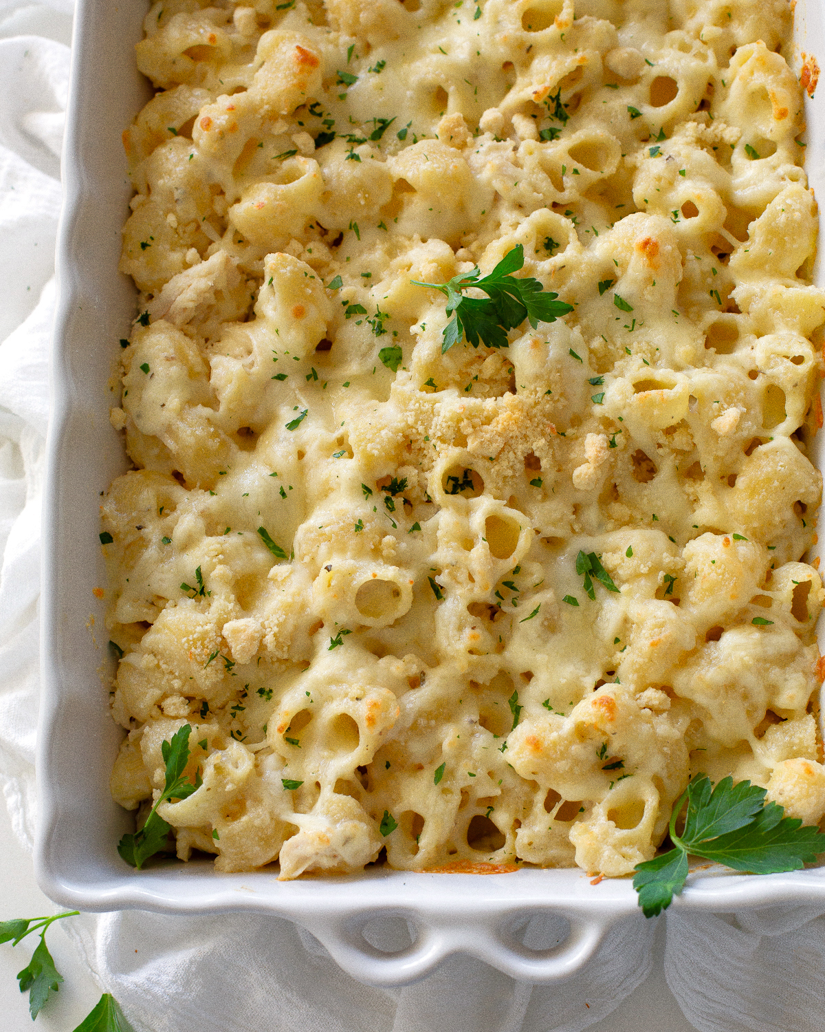 chicken alfredo bake