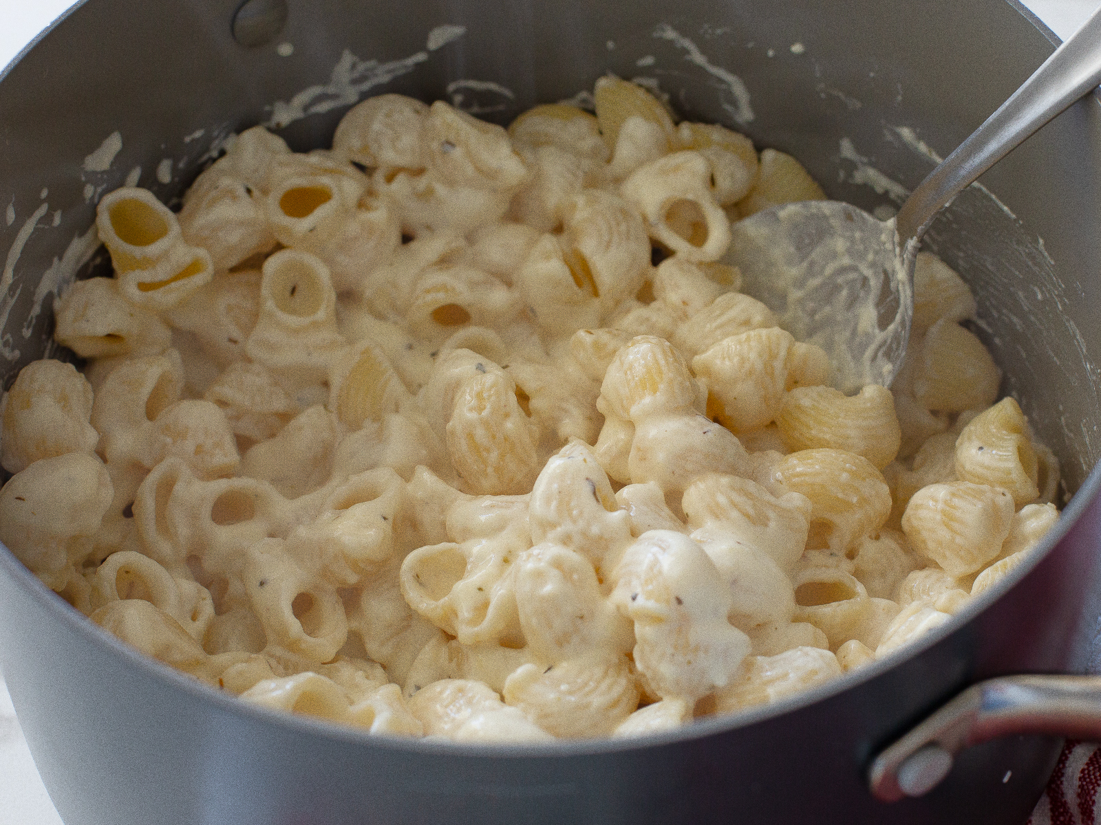 cooked pasta with alfredo sauce
