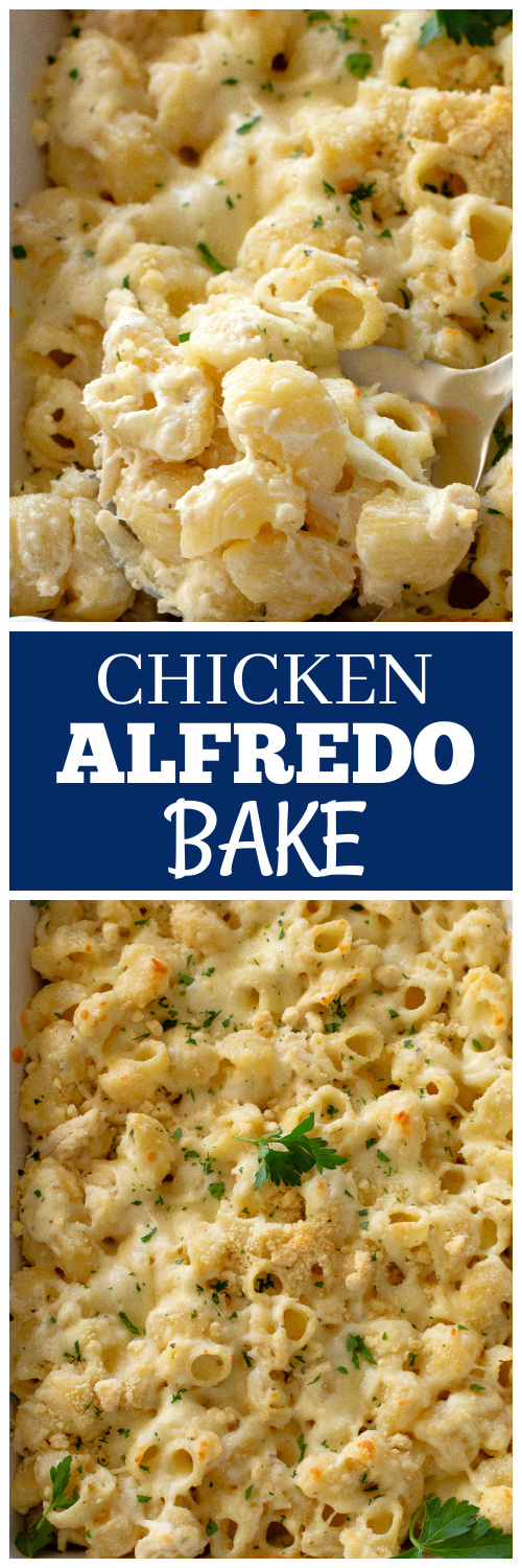 chicken alfredo bake