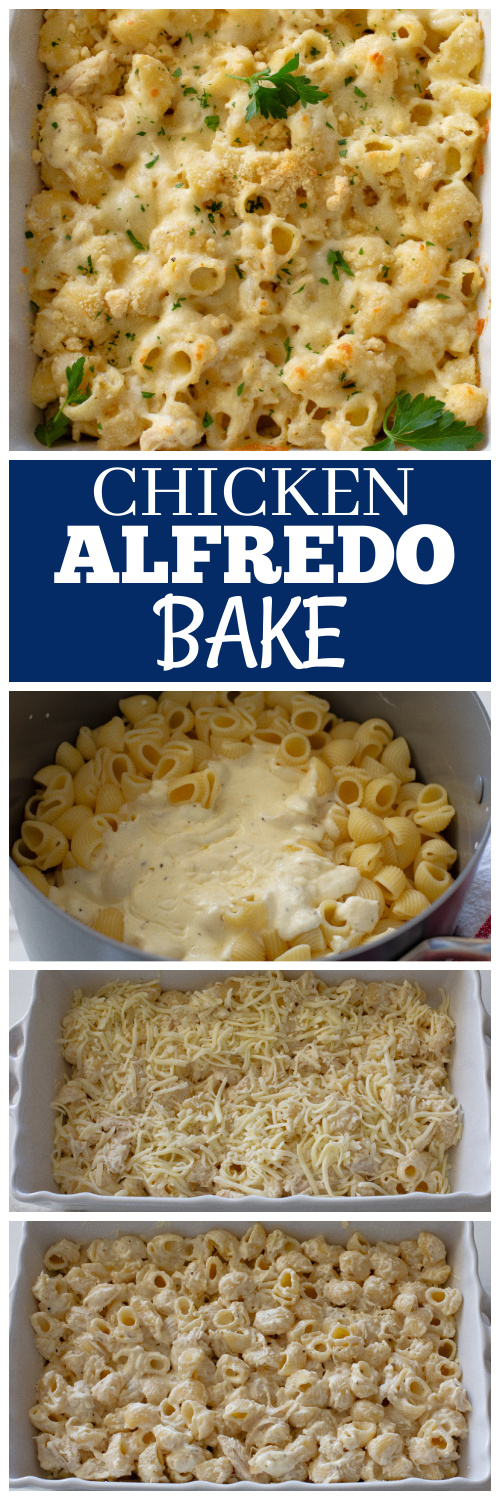 chicken alfredo bake