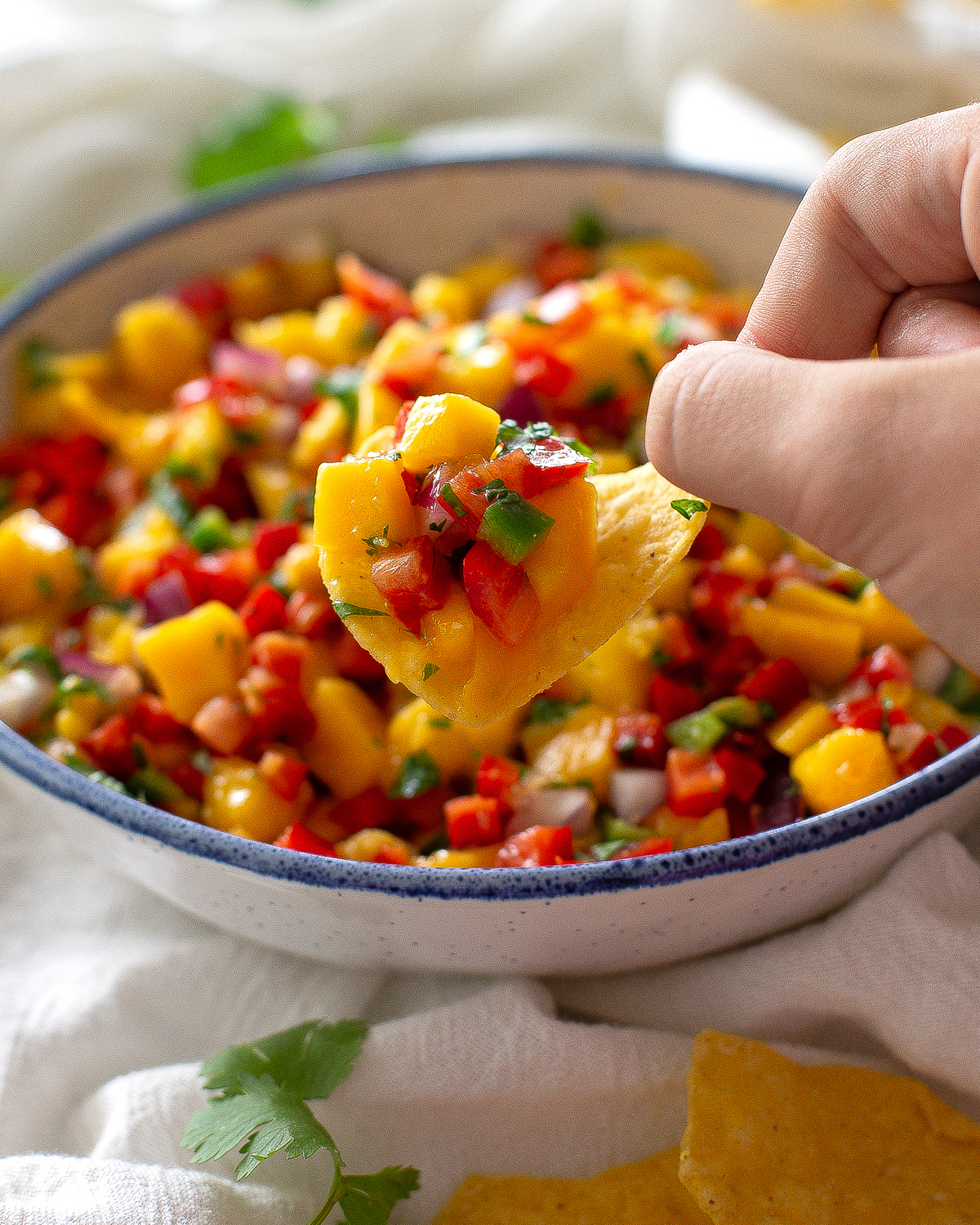 mango salsa with a chip