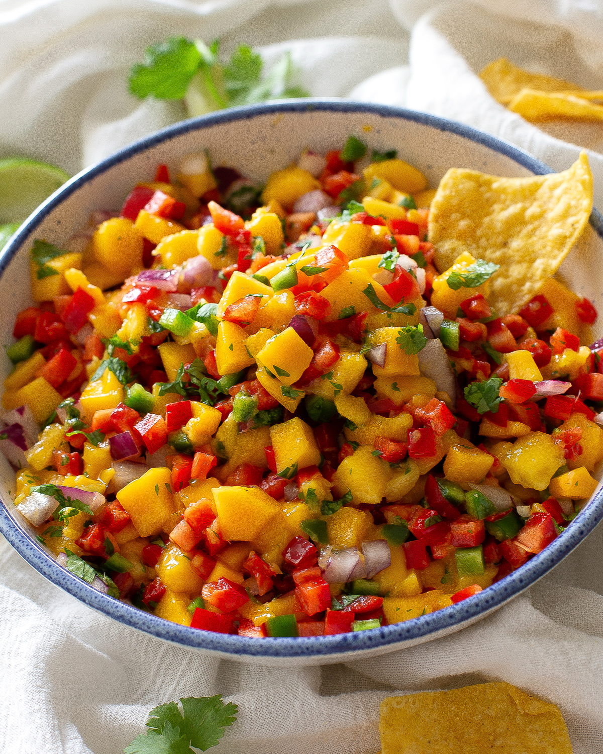 mango salsa with a chip