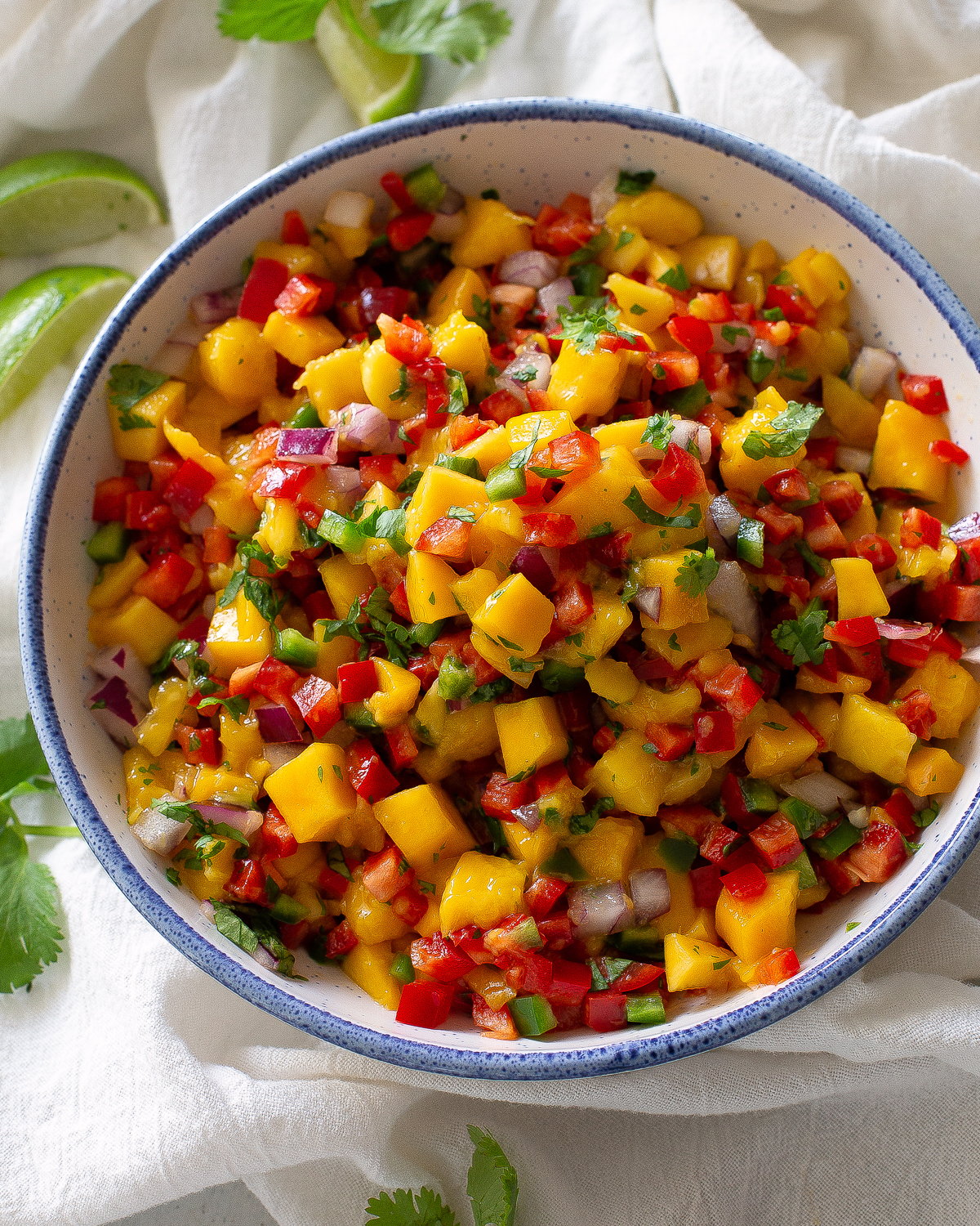 mango salsa with a chip