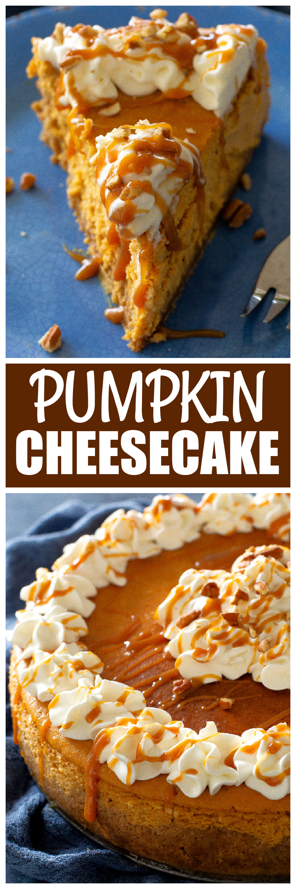 pumpkin cheesecake